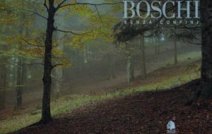BOSCHI SENZA CONFINI