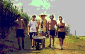 AGRICOLTURA: NUOVE RISORSE PSR DESTINATE AI GIOVANI