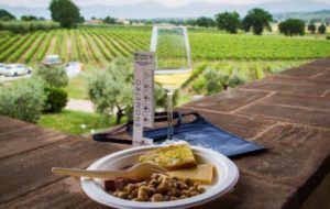 SAN MARTINO: 37 CANTINE APERTE