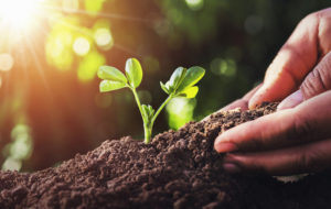 AGRICOLTURA SOSTENIBILE. CONVEGNO IL 3 MARZO A CAMPOFORMIDO