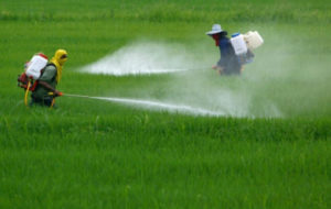 GLIFOSATE: PER ARPA NON ESISTE UN CASO IN FVG