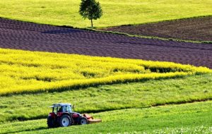 AGRICOLTURA: L’AMBIENTE SI PROTEGGE CON LO SVILUPPO