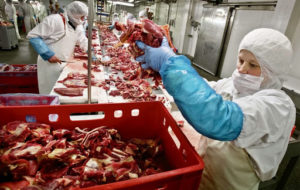 LAVORATORI INDUSTRIA ALIMENTARE DA 5 MESI SENZA CONTRATTO