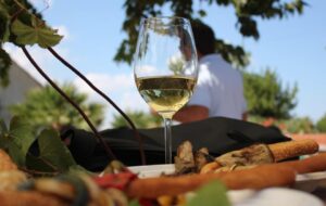 CANTINE APERTE CON NUOVA FORMULA