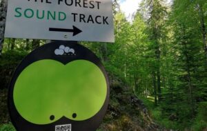 PER AGLI ABETI DI RISONANZA, INNOVATIVO MUSEO A CIELO APERTO