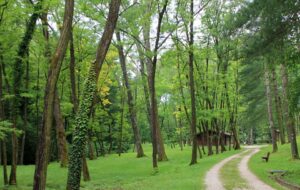 “PALCHI NEI PARCHI”, 8 ECOSPETTACOLI