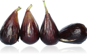 PER ALLERTA METEO ANNULLATO “IN CAMPAGNA COL FIGOMORO”