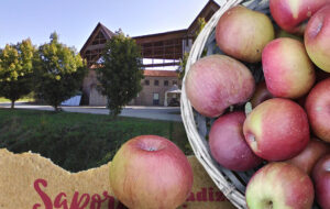 FIERA MERCATO DI SAN PIETRO AL NATISONE