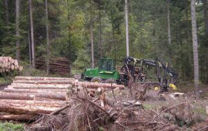 LAVORARE IN BOSCO, TRA FORMAZIONE E TECNOLOGIE