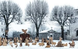 PRESEPI FVG: INNO ALLA RESILIENZA