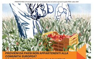 PINA-Q. PROSEGUE IL PROGETTO PER IL CONTRASTO AL LAVORO IRREGOLARE