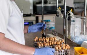 AUSTRIA – SOSPETTI CASI DI COVID ALL’ INGLESE