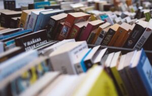 PICCOLI ESERCENTI – GRANDI PROBLEMI