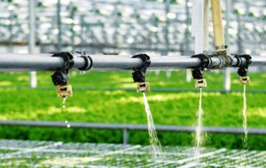 FVG: LA “MEGLIO” AGRICOLTURA CON PNRR E RECOVERY PLAN