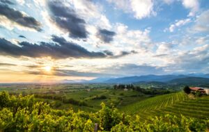 TASTING ACADEMY PER DEGUSTARE E FORMARSI