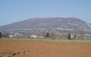 CINQUE PROPOSTE FRA NATURA, VINI, MUSICA, PANORAMI