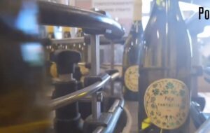 ECCO IL COLLIO CHE PIACE