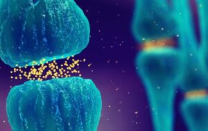 UN CASCHETTO PER STUDIARE LE EMOZIONI IN CONTESTI DI LAVORO