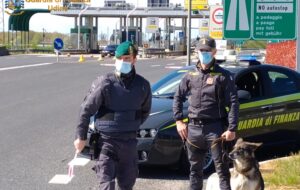 GDF UDINE: MAXI SEQUESTRO DI DROGA IN PROVINCIA DI UDINE