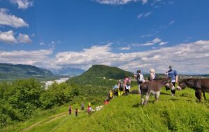 CAMMINO DI SAN CRISTOFORO: 2021 ANNO DELLE CONFERME