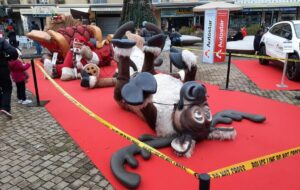 MERCATINI E ADDOBBI NATALIZI