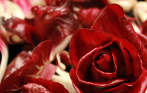 LA ROSA DI GORIZIA NEI RISTORANTI DI PARIGI E LONDRA