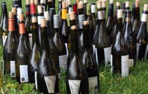 PIANO ANTI CANCRO: L’UE MODIFICA LE CITTÀ DEL VINO FVG PLAUDONO