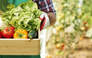 FVG: IN RECUPERO SETTORE AGROALIMENTARE