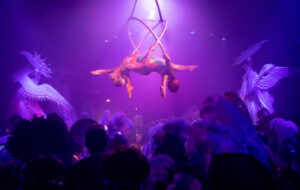 IL BALLO DEL DOGE: VETRINA PER VENEZIA