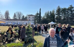 IL VERDE ALFABETO: GIARDINI E PARCHI STORICI DEL FVG