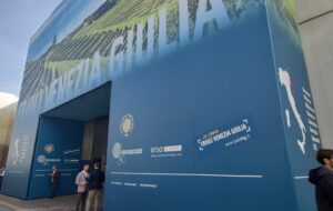 VINITALY: SUCCESSO DEI VITICOLTORI FVG