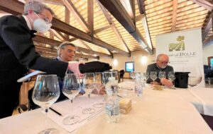 AL VIA FILARI DI BOLLE 2022