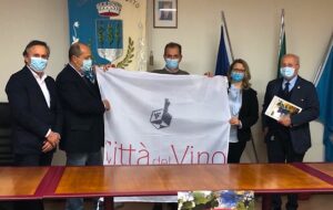 SALGONO A 35 LE CITTÀ DEL VINO DEL FVG