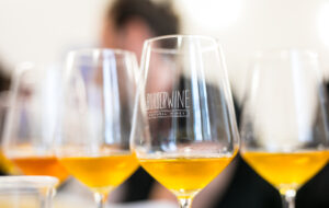 BORDERWINE A VILLA MANIN