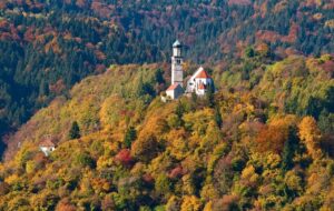 ALTROMERCATO SUMMER CAMP