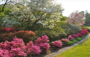 GIARDINO VIATORI APERTO FINO AL 31 LUGLIO