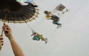 ALPE ADRIA PUPPET FESTIVAL