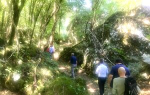 NATURA: RIAPERTO PERCORSO DI PALUDE VUARBIS