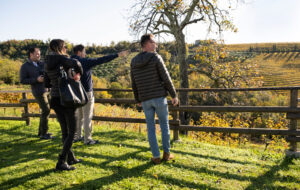 SAN MARTINO IN CANTINA
