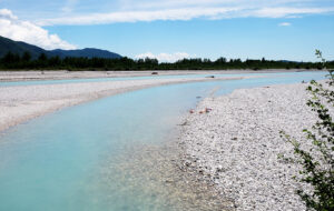 ARPA: NESSUN ALLARME PER QUALITÁ ACQUE FVG