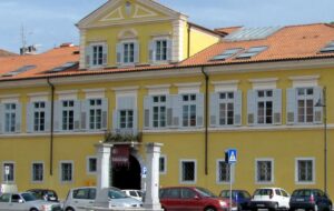 COME COMUNICARE LA DISABILITÁ, ECCO IL SEMINARIO