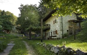 37 ALLOGGI NEGLI ALBERGHI DIFFUSI CON CONTRIBUTI REGIONALI