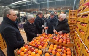 MERCATO ORTOFRUTTICOLO DI UDINE E LA SUA ESPANSIONE