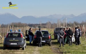 CISL SU CAPORALATO: IL SISTEMA AGRICOLO SI FACCIA GARANTE