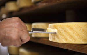 MONTASIO DOP. SOSTENIBILITÁ E TIPICITÁ