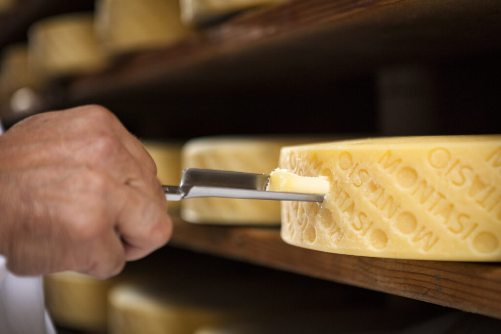 Questa immagine ha l'attributo alt vuoto; il nome del file è Montasio-IMG_0104-1024x683.jpg