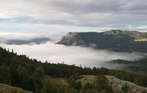 MITIGAZIONE DEL CAMBIAMENTO CLIMATICO: PROGETTO EUROPEO DA 10 MILIONI DI EURO GUIDATO DA UNIUD