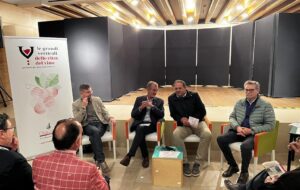 GRANDI VERTICALI VINO: 13 APPUNTAMENTI IN FRIULI VENEZIA GIULIA