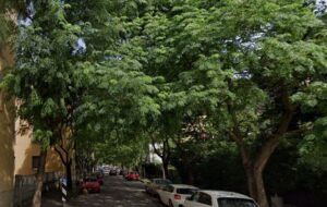 UDINE CITTA’ VERDE