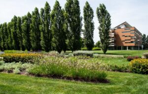 CALAMITA’: 200 mln da Crédit Agricole Italia